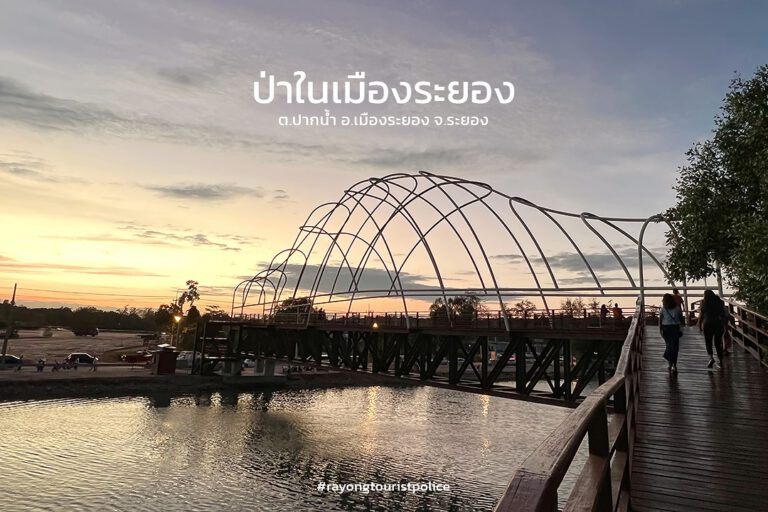 “ป่าในเมืองระยอง” ป่าชายเลนพระเจดีย์กลางน้ำ จ.ระยอง