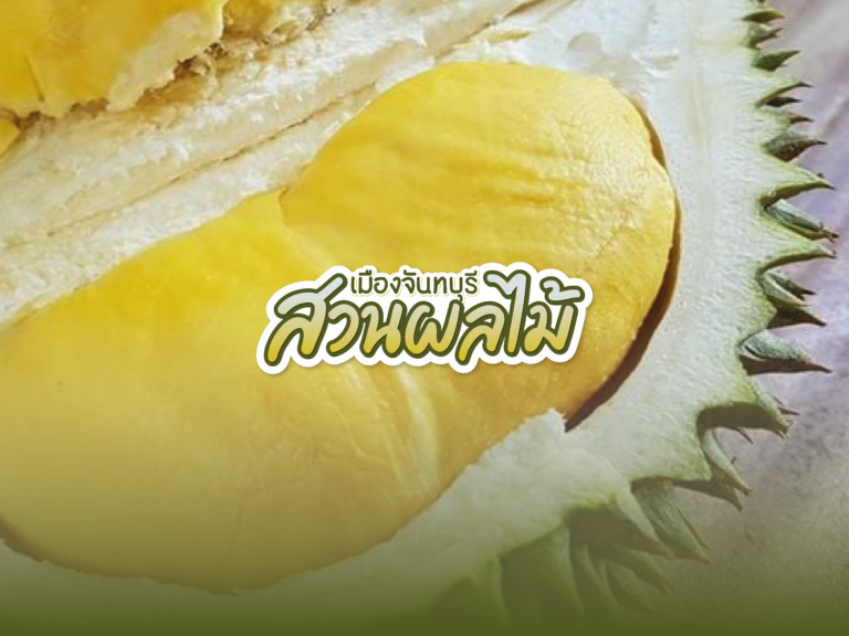 16 สวนผลไม้เพื่อการท่องเที่ยวจันทบุรี ประจำปี 2565