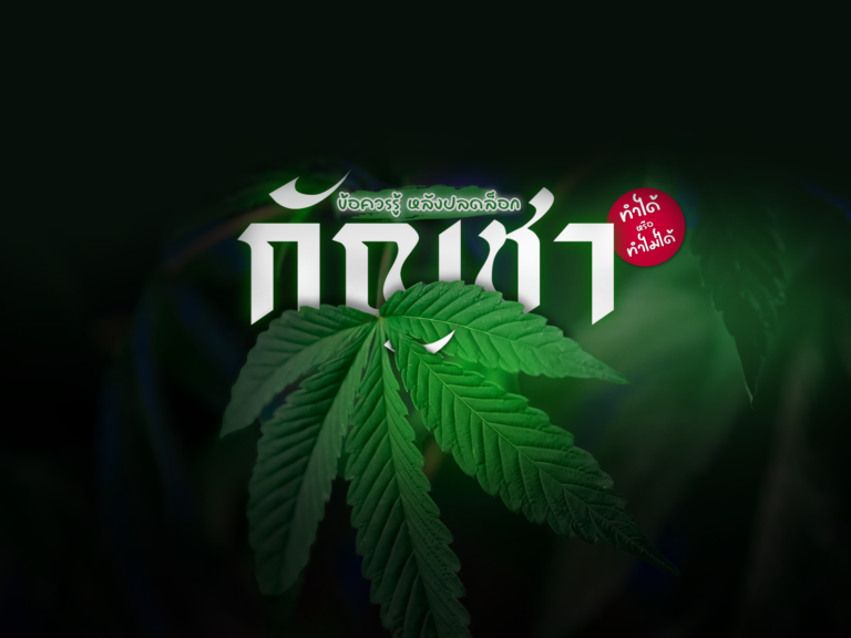 ข้อควรรู้ หลังปลดล็อก “กัญชา” 9 มิ.ย.65