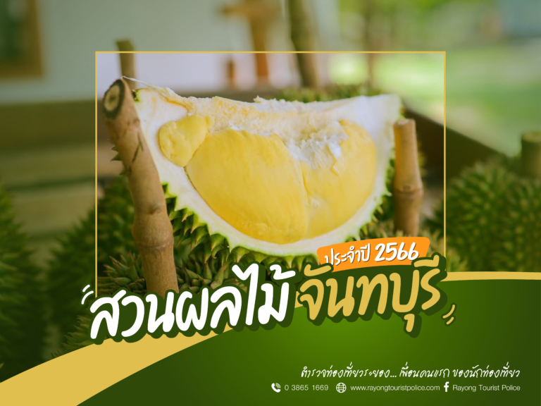 แวะกิน แวะเที่ยว สวนผลไม้จันทบุรี 2566